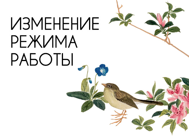 Режим работы музея 11-12 июня 2025 г.